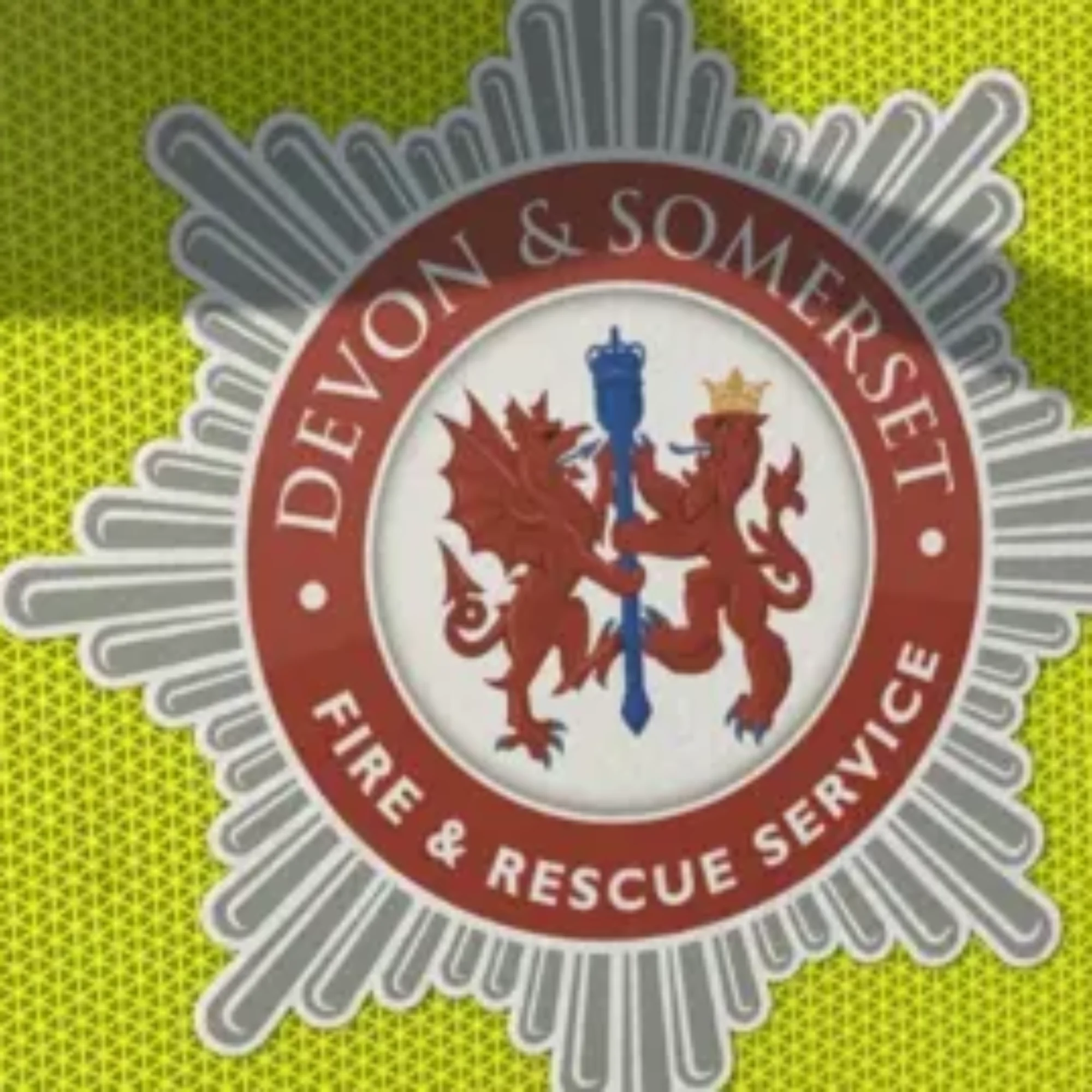 Devon and Somerset fire service told to make improvements