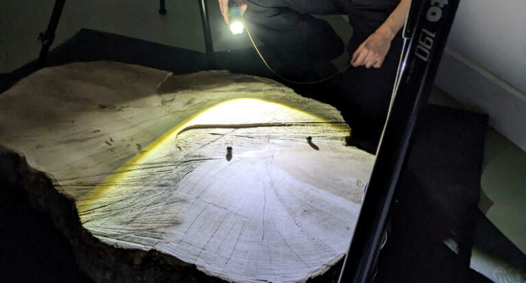 Read more about the article Specialist laboratory exploring experimental techniques to improve the resolution of analyses on the felled Sycamore Gap tree 