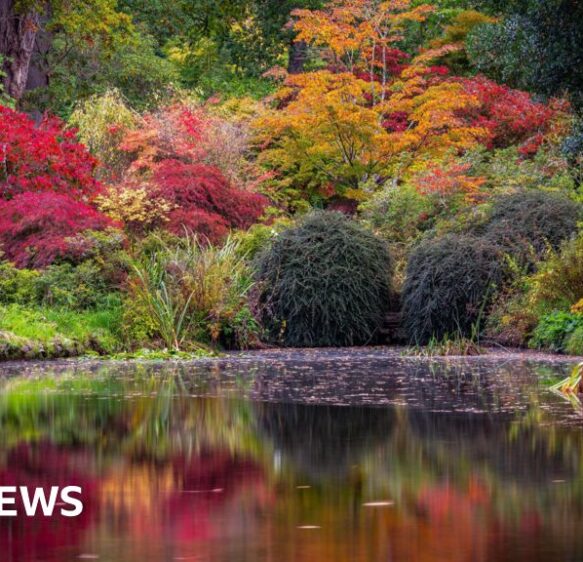 This week’s images from the south of England
