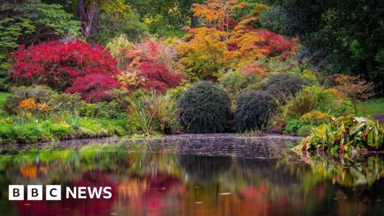 Read more about the article This week’s images from the south of England