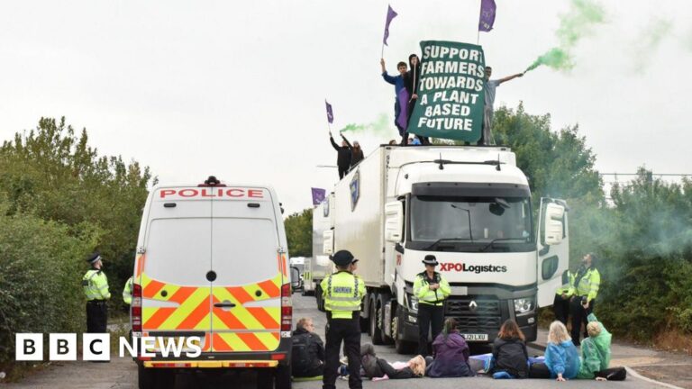 Read more about the article Muller protesters sentenced for factory trespass in Bridgwater