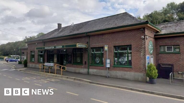 Read more about the article Sheep killed after being struck on Dartmoor train line