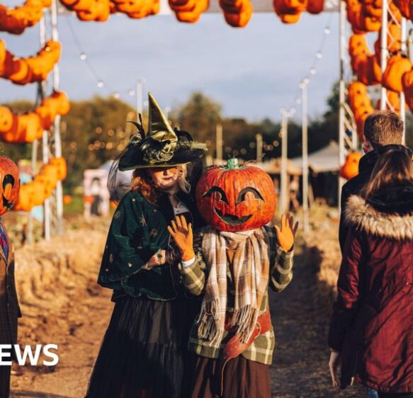 Pumpkin patches proving popular due to social media say venues