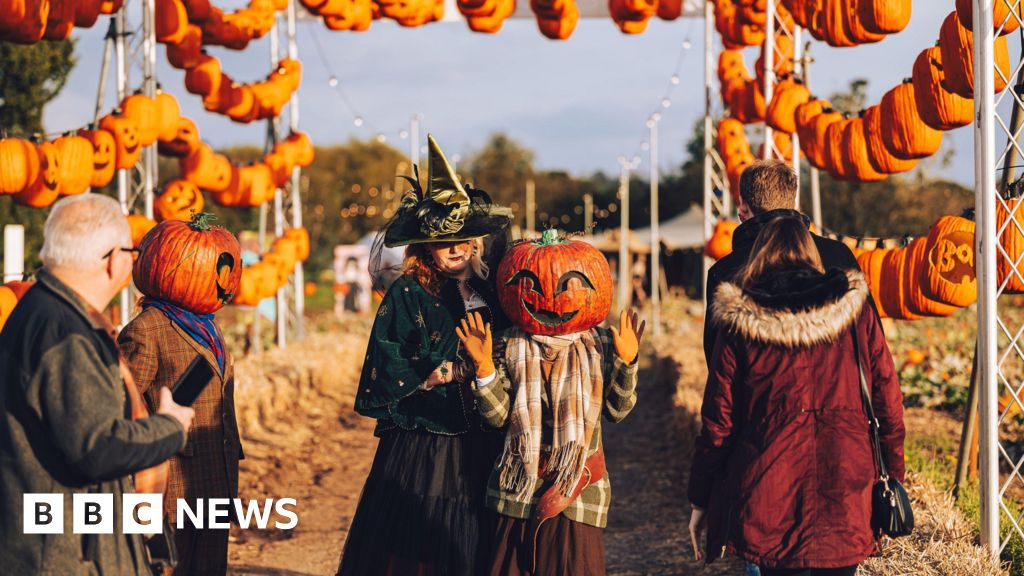 You are currently viewing Pumpkin patches proving popular due to social media say venues