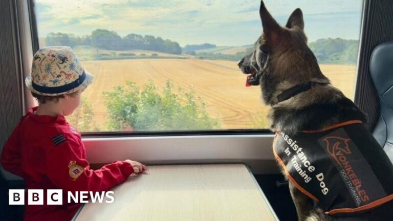 Read more about the article Therapy dog helps autistic boy from Bournemouth ‘thrive’