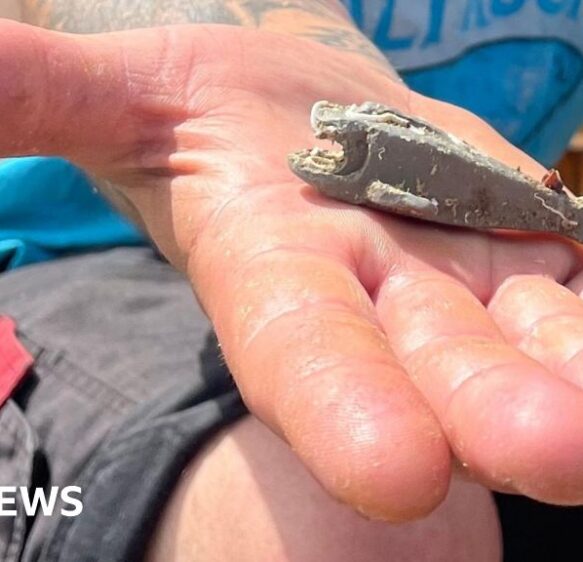 First ‘lost’ Lego shark lands hundreds for charity