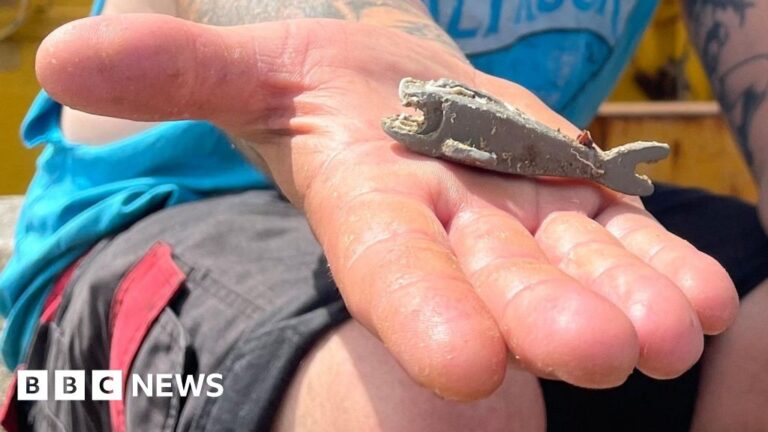 Read more about the article First ‘lost’ Lego shark lands hundreds for charity