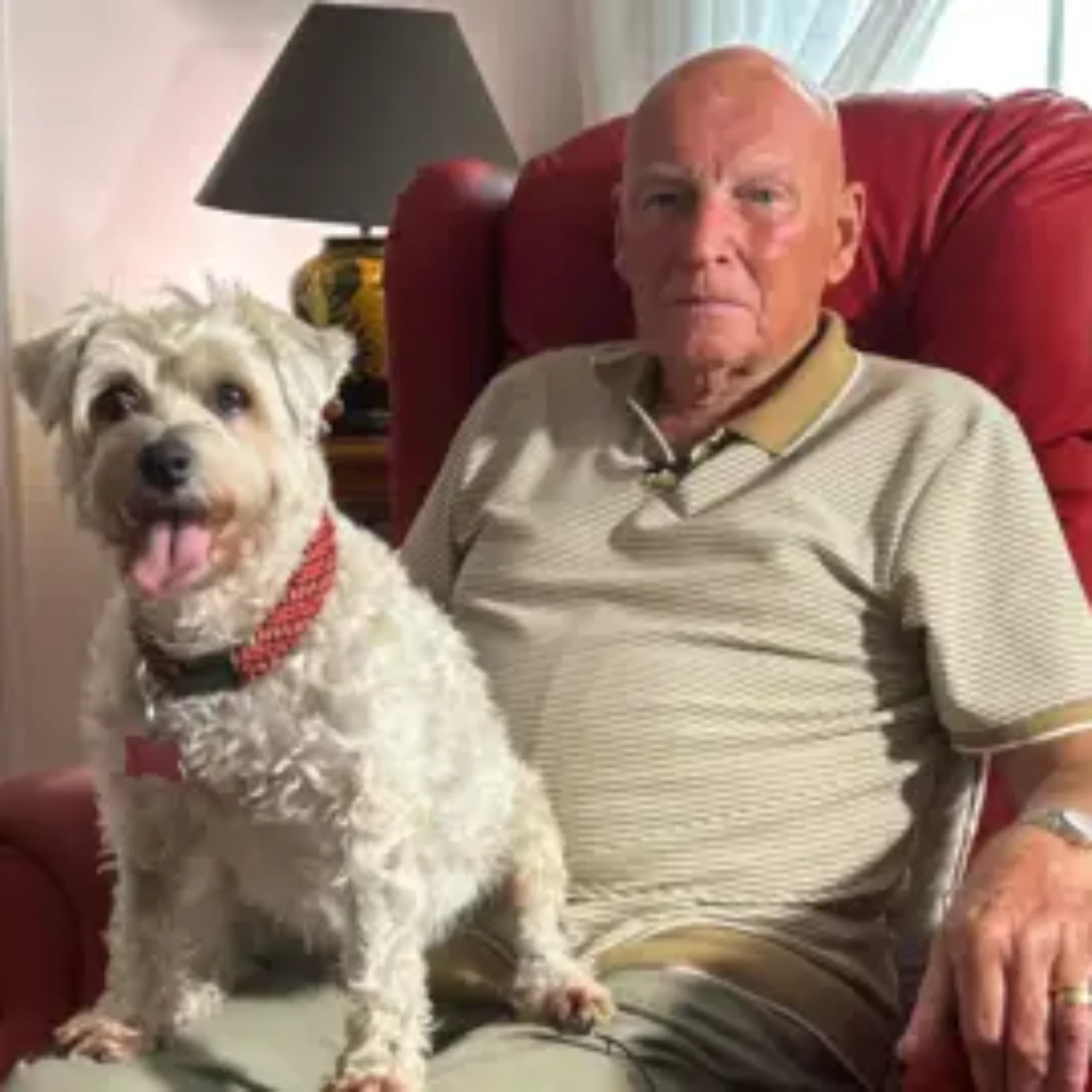 Man in Devon feared lifelong debt over pet insurance claim