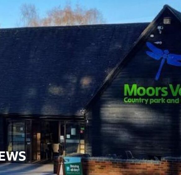 Theft at Moors Valley halts Halloween light trail opening