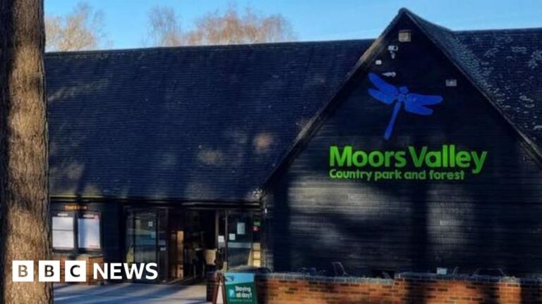 Read more about the article Theft at Moors Valley halts Halloween light trail opening