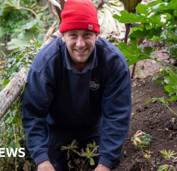 Newquay Zoo wins gold in first try at bloom awards