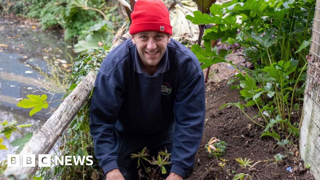 You are currently viewing Newquay Zoo wins gold in first try at bloom awards