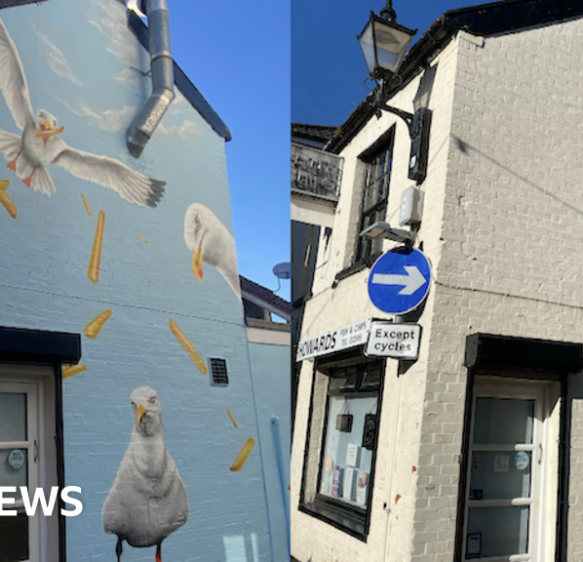 Chip-stealing seagulls mural part of mission to transform town