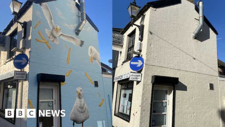 Read more about the article Chip-stealing seagulls mural part of mission to transform town