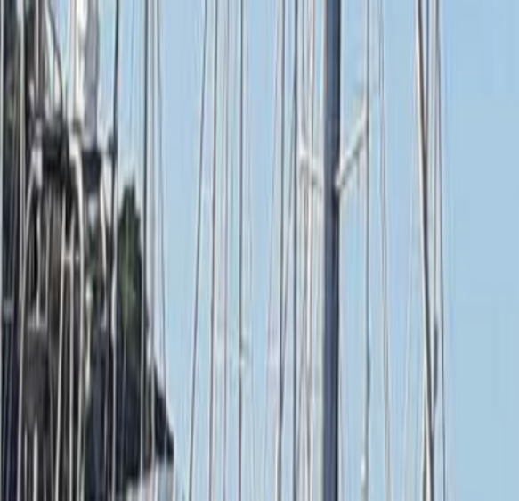 Man who tried to smuggle Iraqis sentenced after Devon arrest