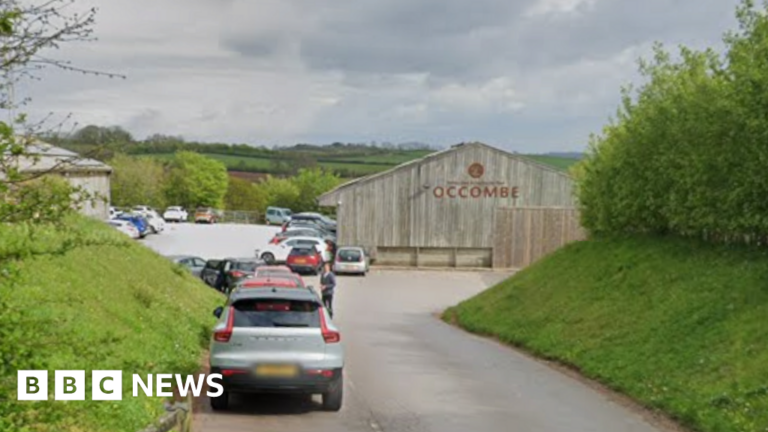 Read more about the article Torbay farm attraction to close after charity liquidation