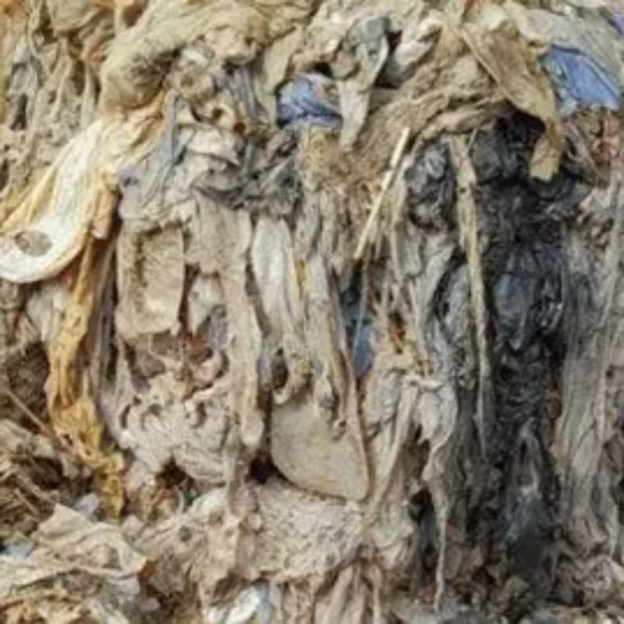 South West Water customers urged to help prevent fatbergs