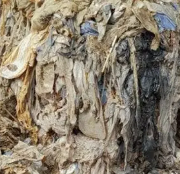 South West Water customers urged to help prevent fatbergs