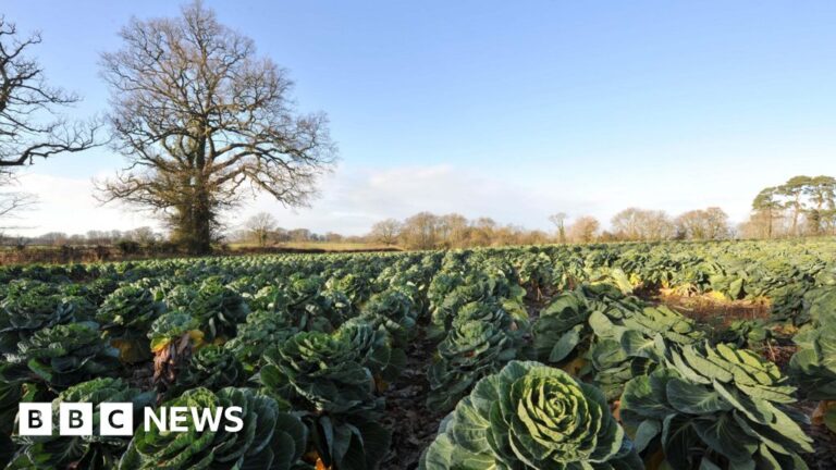 Read more about the article Plans for ‘educatering’ site with 100 jobs in east Devon refused