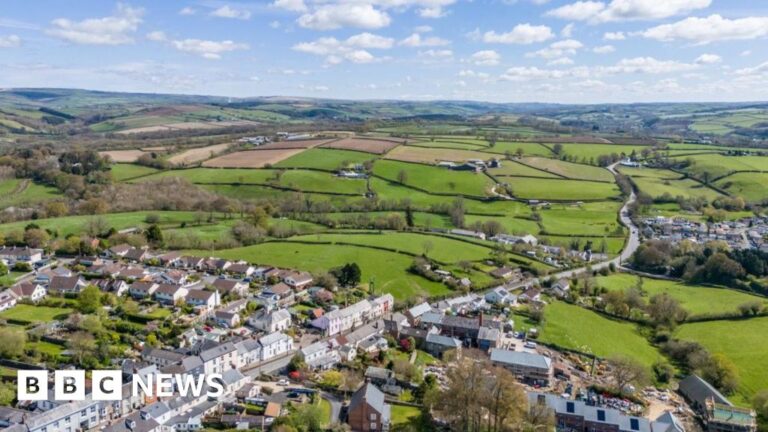 Read more about the article New plans to carve Devon up into four unitary authorities