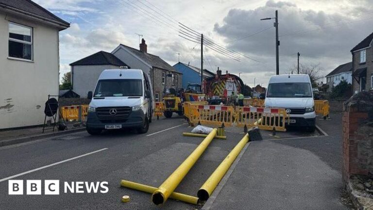 Read more about the article Two sets of roadworks causing ‘absolute nightmare’