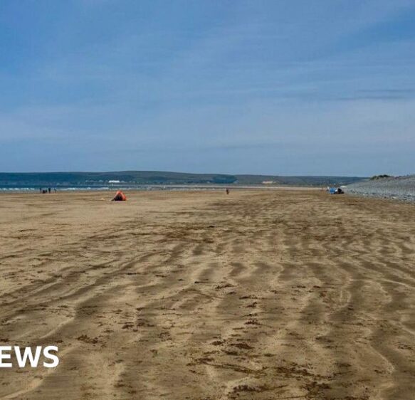 North Devon human remains belonged to same man, police say