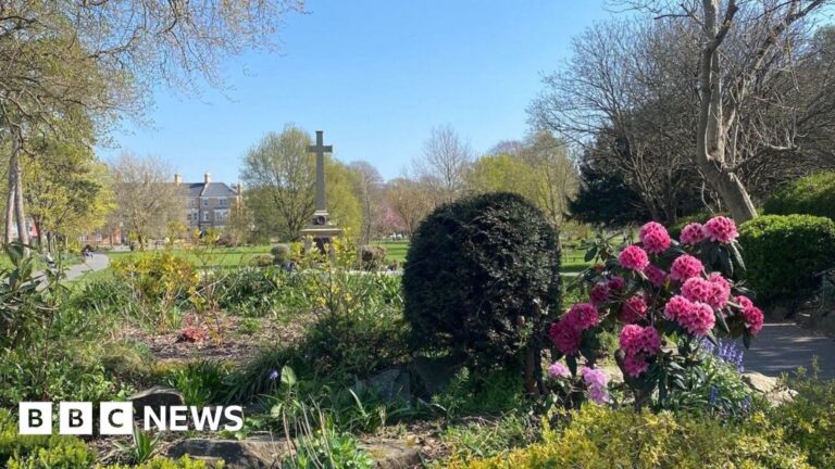 Read more about the article Residents urged to share views on Barnstaple’s Rock Park