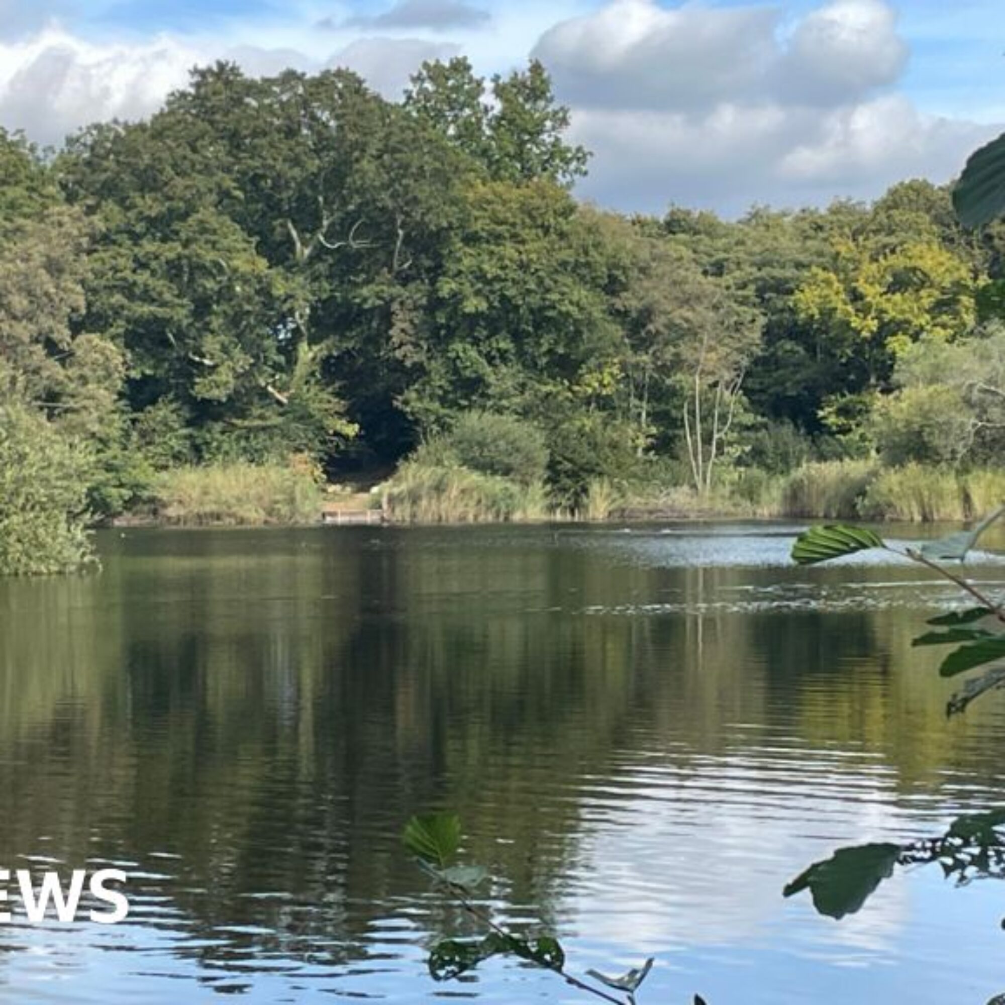 Campaigners fight plans to reopen Devon ball clay pit