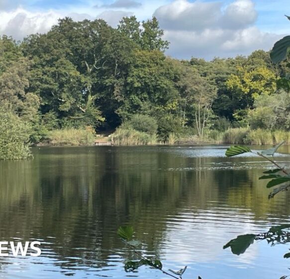 Campaigners fight plans to reopen Devon ball clay pit