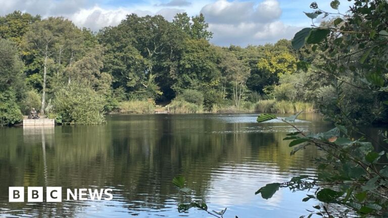 Read more about the article Campaigners fight plans to reopen Devon ball clay pit