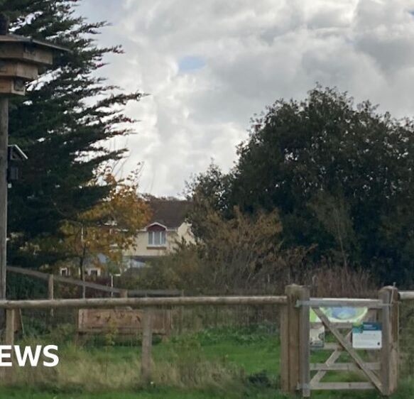 Towns and cities in the south awarded funding for green projects