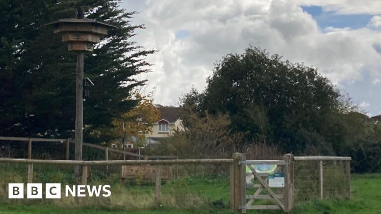 Read more about the article Towns and cities in the south awarded funding for green projects