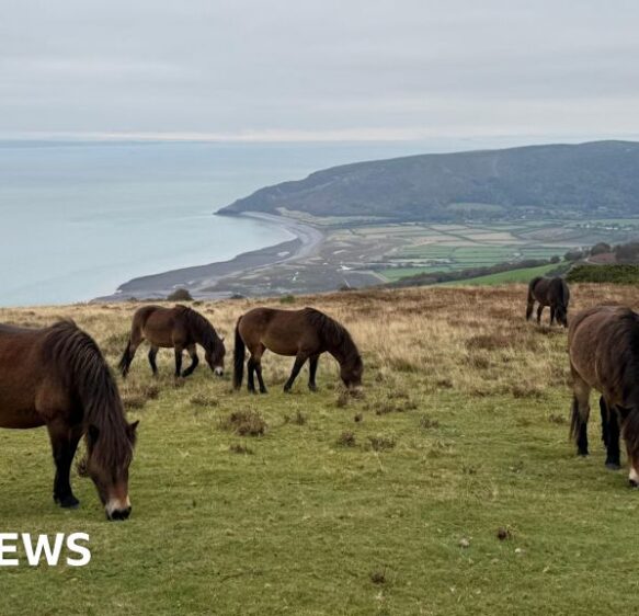 Idyllic views and a birthday