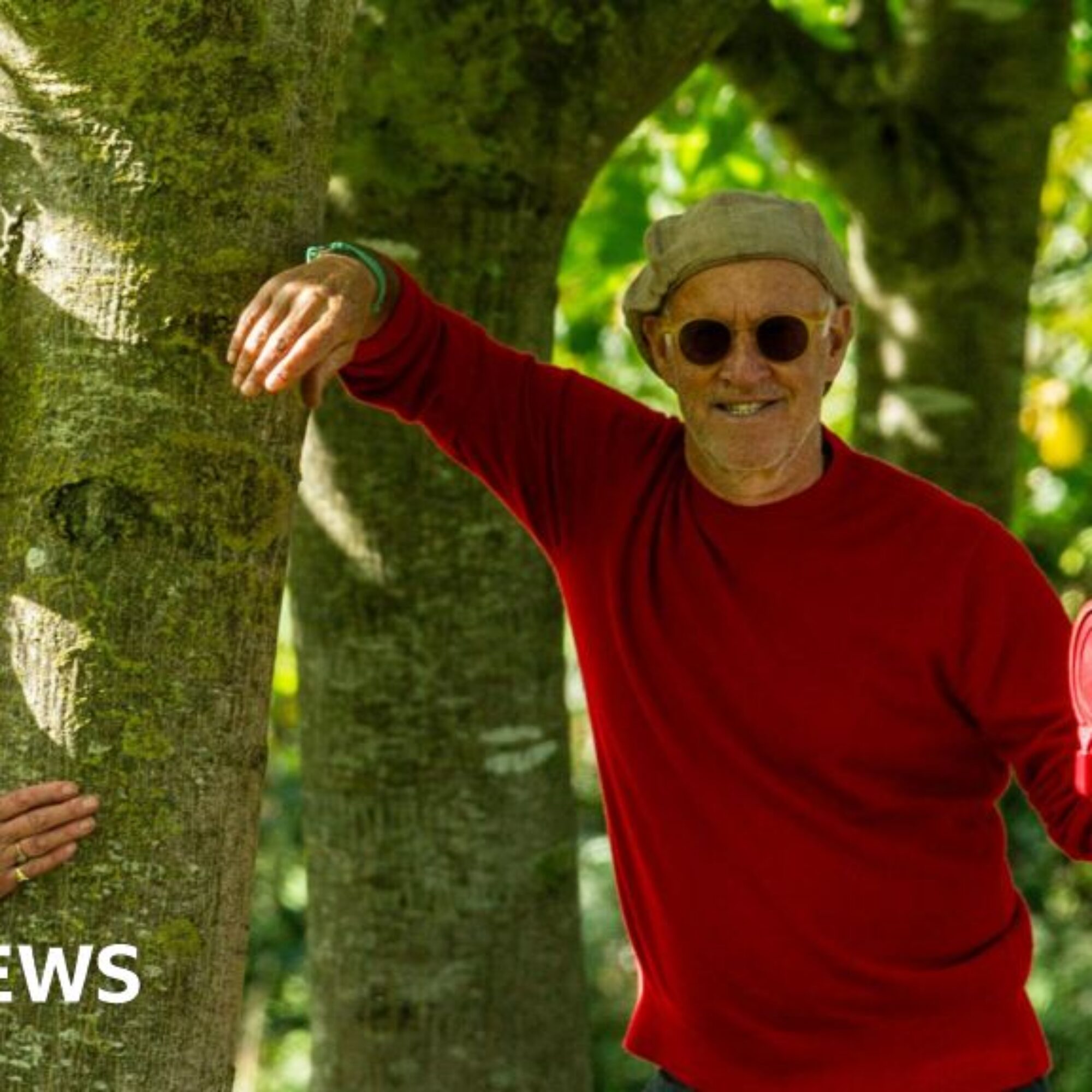 Mulberry founder Roger Saul wants walnut farming help in Somerset
