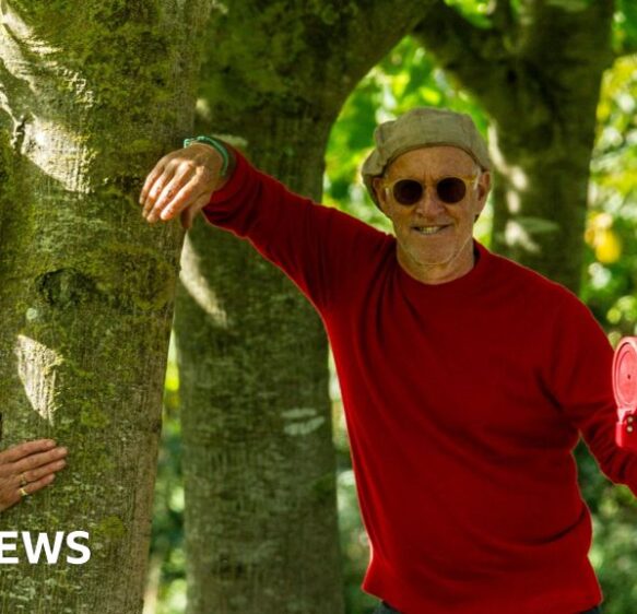 Mulberry founder Roger Saul wants walnut farming help in Somerset