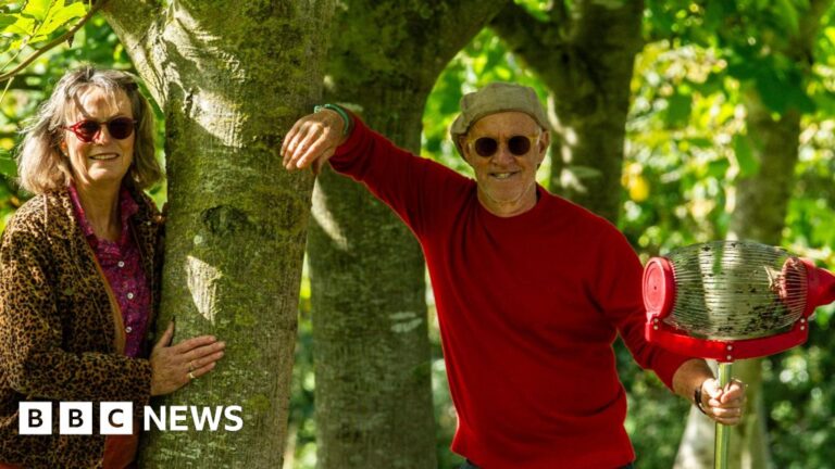 Read more about the article Mulberry founder Roger Saul wants walnut farming help in Somerset
