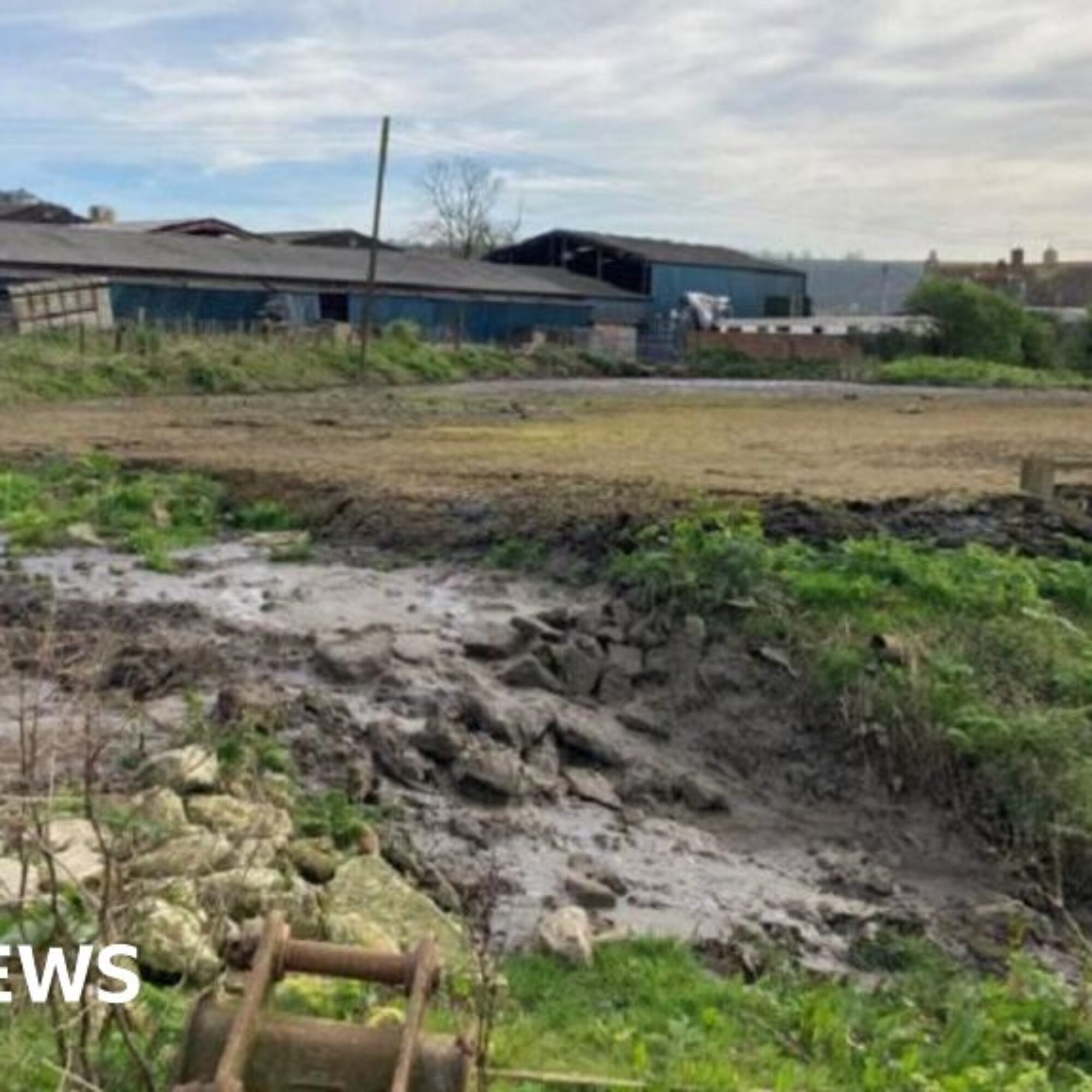 Dorset dairy farm fined after cattle slurry pollutes river