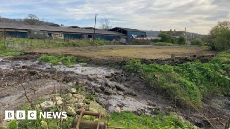 Read more about the article Dorset dairy farm fined after cattle slurry pollutes river