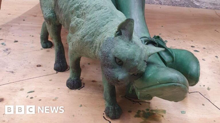 Read more about the article Cat on novelist’s Dorchester statue ‘not Susie’ after complaints
