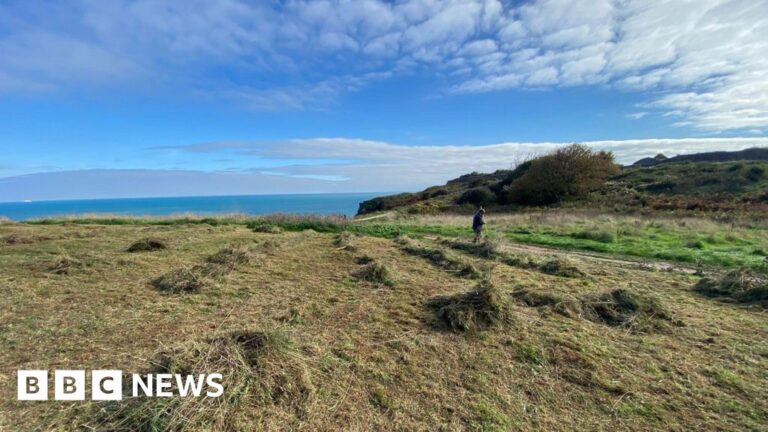 Read more about the article Torbay Council’s ‘hands tied’ on land access after charity liquidation