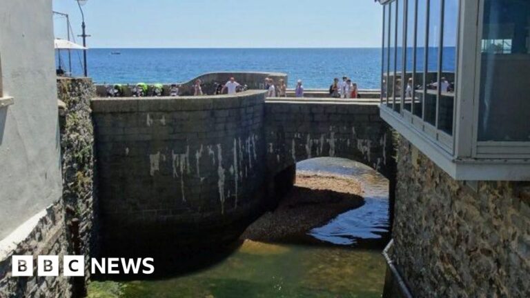 Read more about the article Environmental group rejects South West Water’s “greenwashing” funding offer