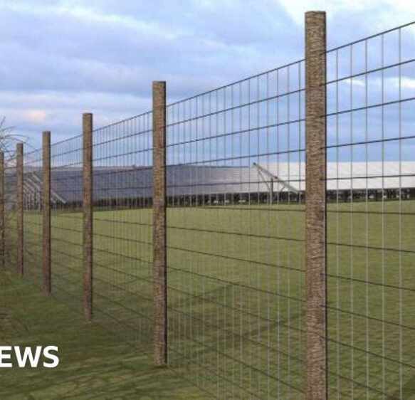 Dorset Council refuses revised plans for solar farm at Maiden Newton