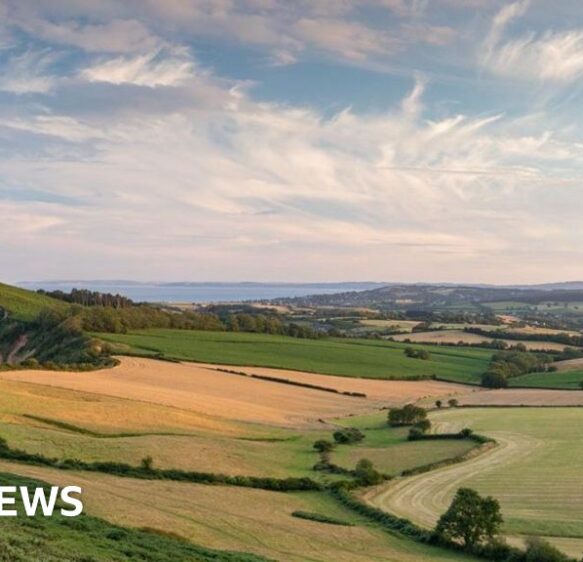 Councils plan to split Devon into three unitary authorities
