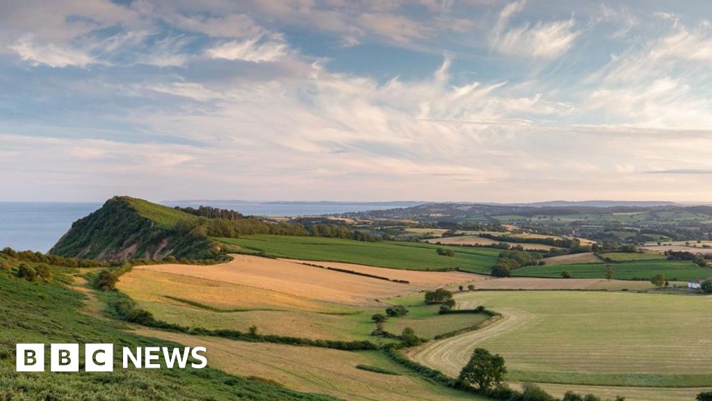 You are currently viewing Councils plan to split Devon into three unitary authorities