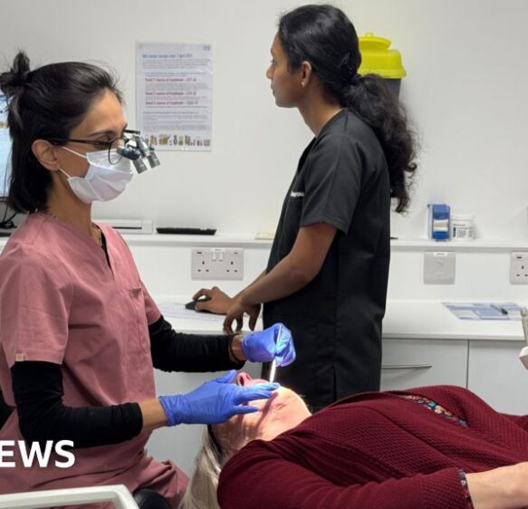 'New dentist checkups' and 'hero bus driver'