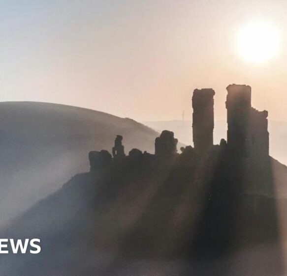 This week’s images from the south of England