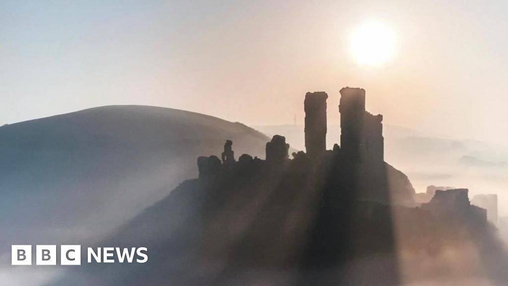 You are currently viewing This week’s images from the south of England