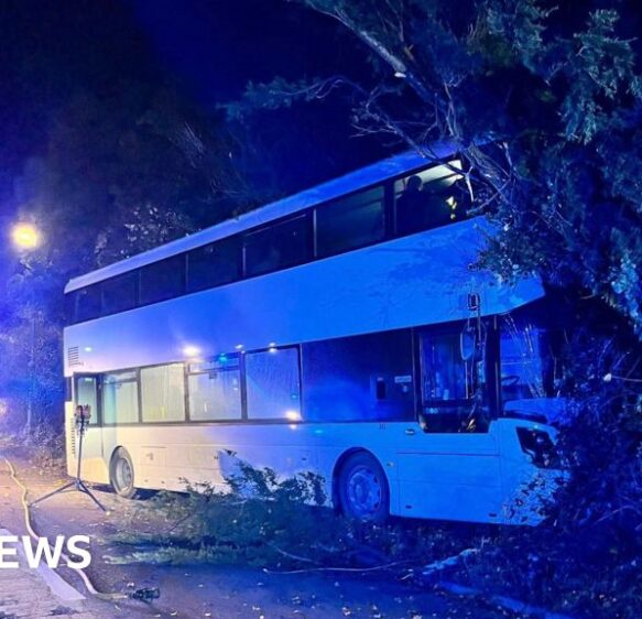 Three hurt after double-decker hits tree