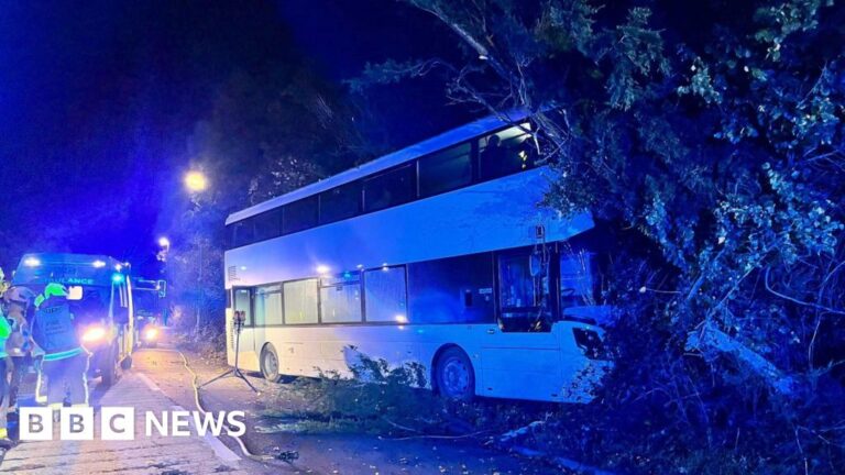 Read more about the article Three hurt after double-decker hits tree