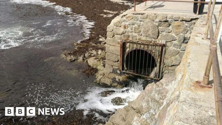 Read more about the article South West Water given red score over pollution